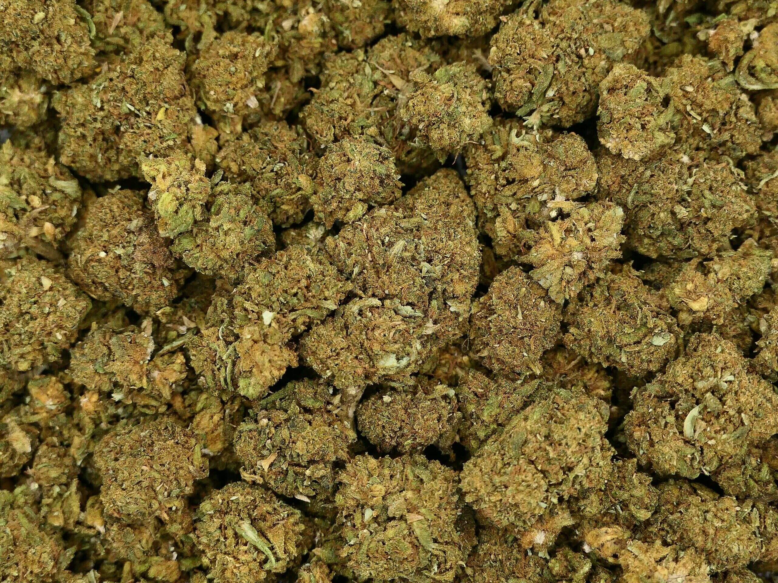 DIESEL TONIC FLEUR DE CBD