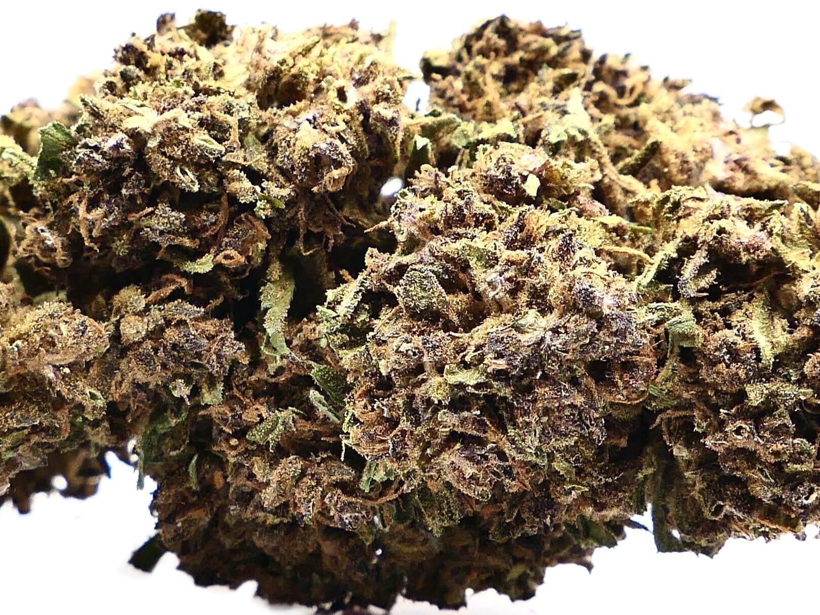 purple rain