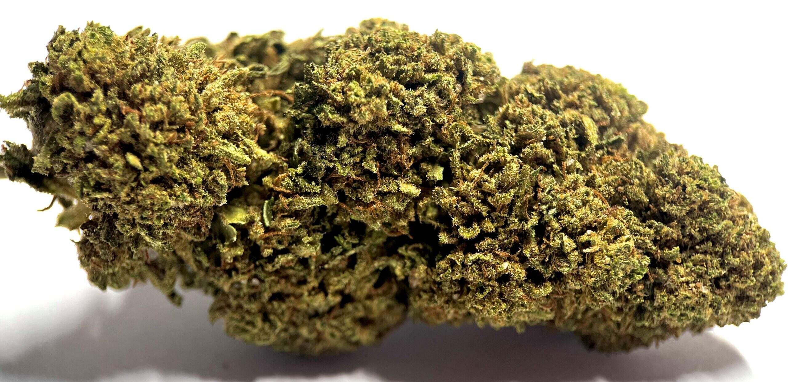 Tangi Tonic Fleurs de CBD