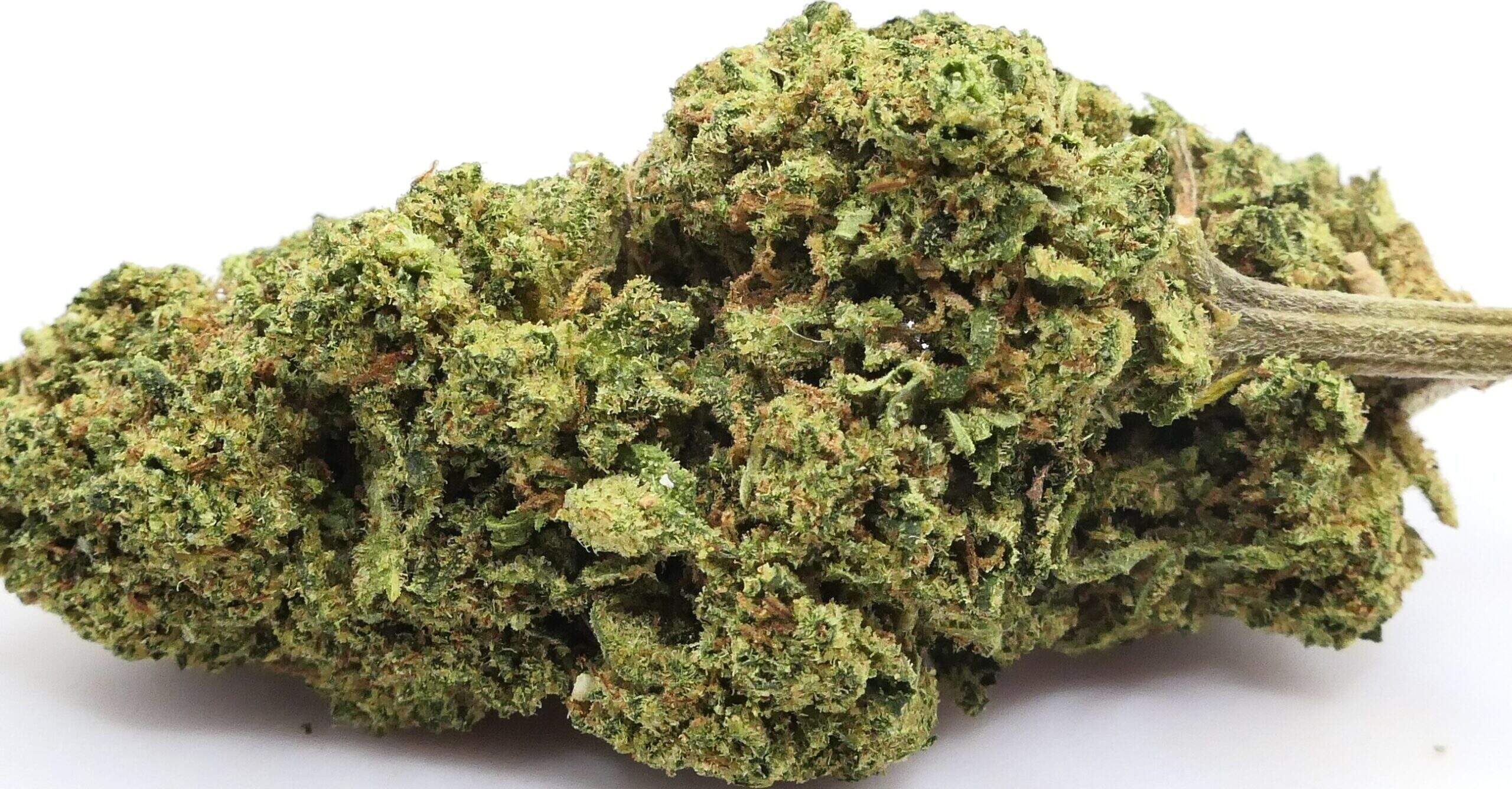 PEACH SHERBET