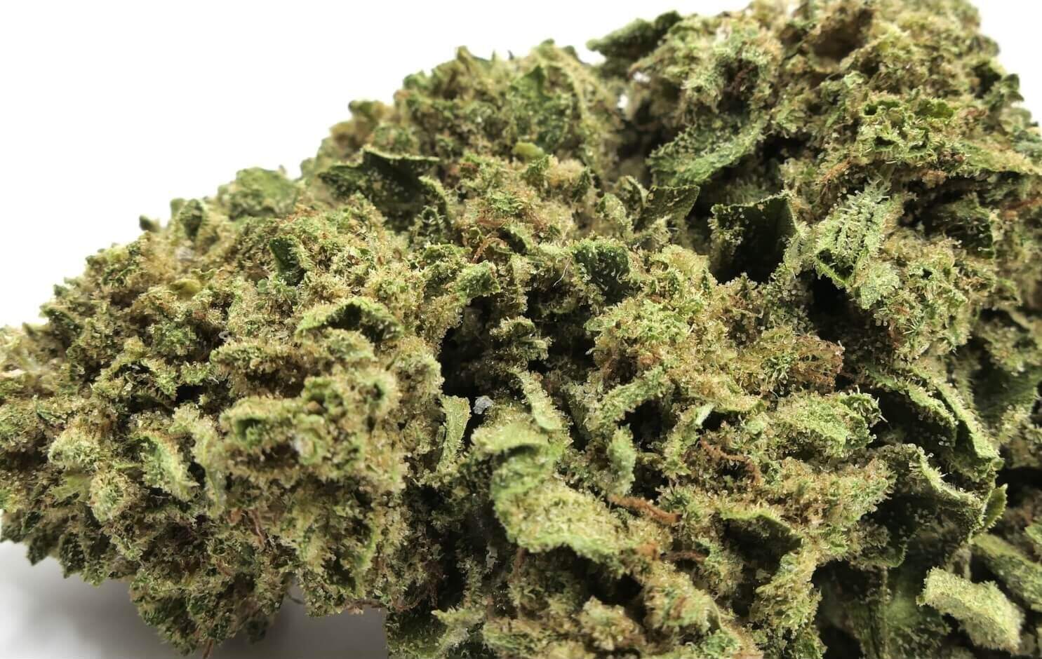 PINEAPPLE - FIORE - CBD