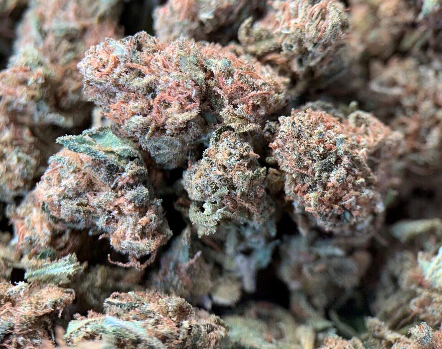 Small Bud Grapefruit CBD virágok