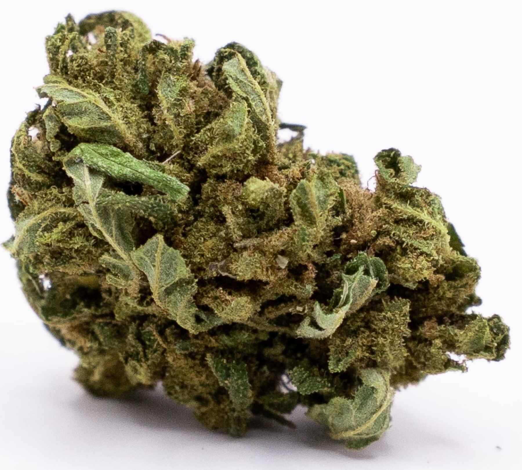 Small bud og cbd