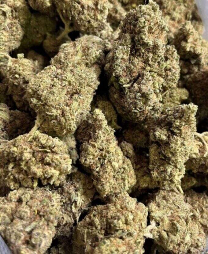 Flores de CBD hidropónicas Chemdog