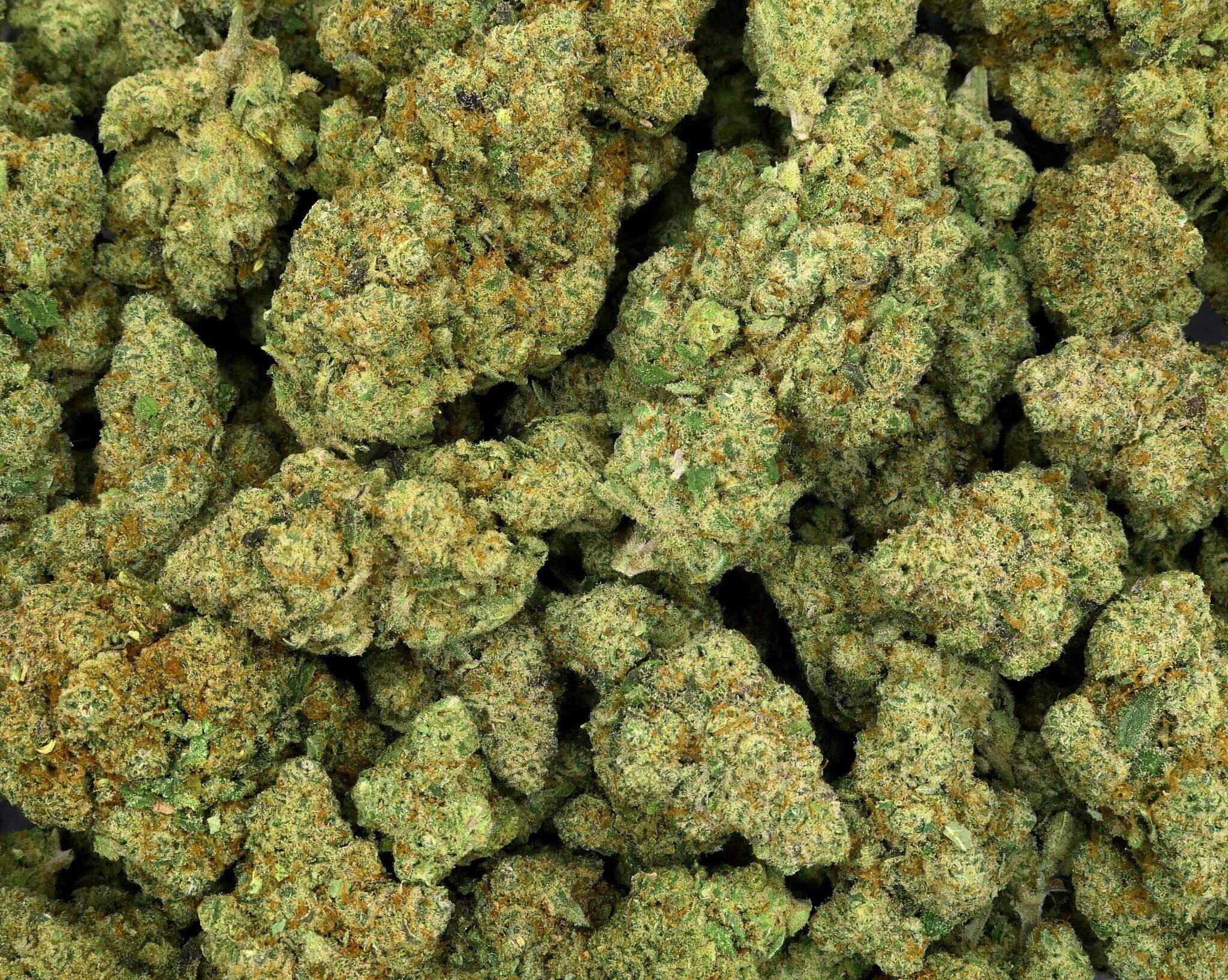 CALI FROZEN HYDROPONIK CBD-BLÜTE