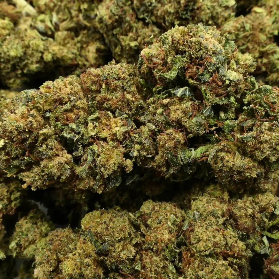 og god father - fleur - 10 OH og god father - fleur - 10 oh