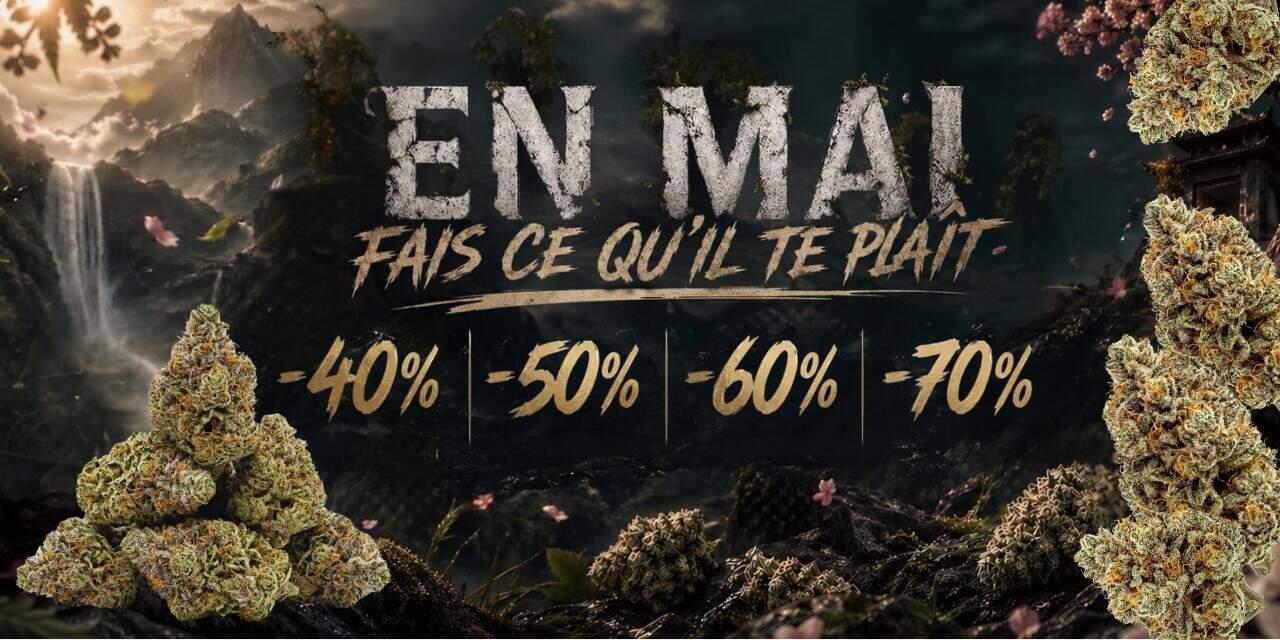 offre nolimit