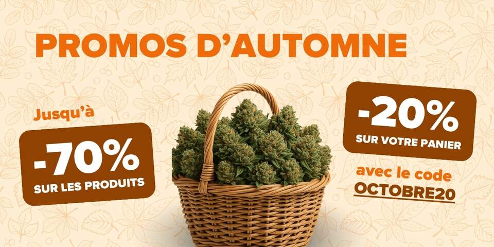 PROMO D'AUTOMNE