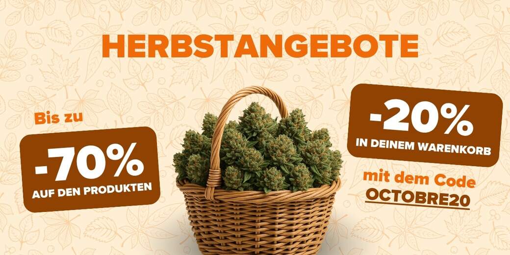 HERBSTPROMO