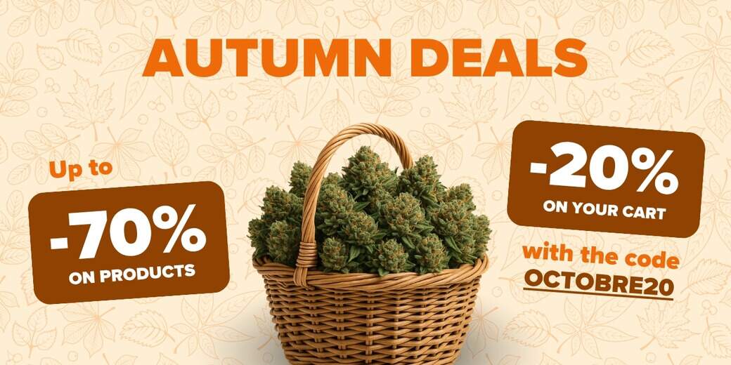 AUTUMN PROMO