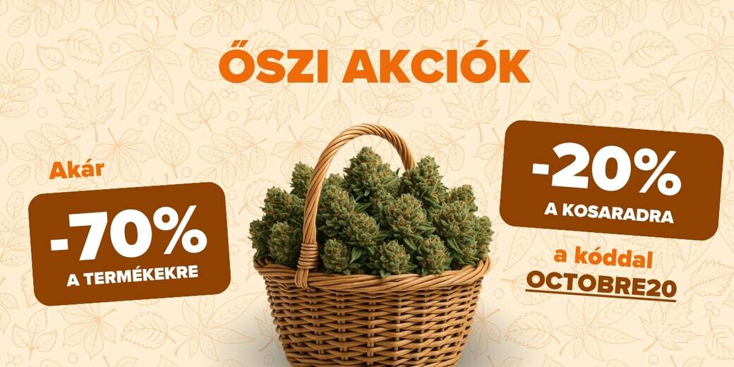 ŐSZI PROMÓCIÓ