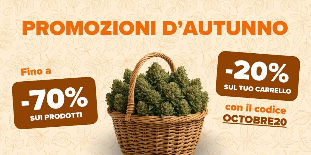 PROMOZIONE AUTUNNALE