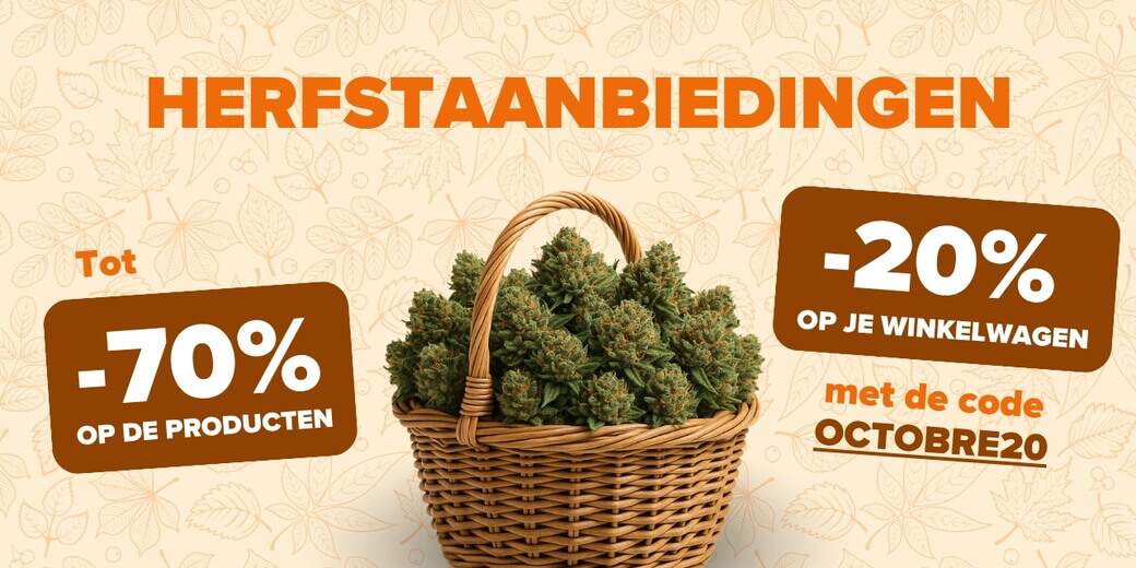 HERFSTPROMOTIE