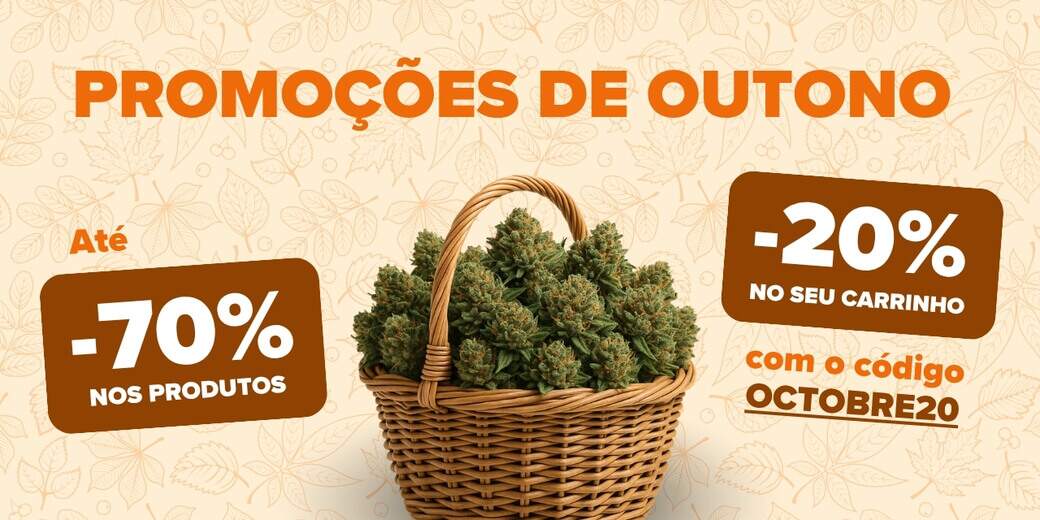 PROMOÇÃO DE OUTONO