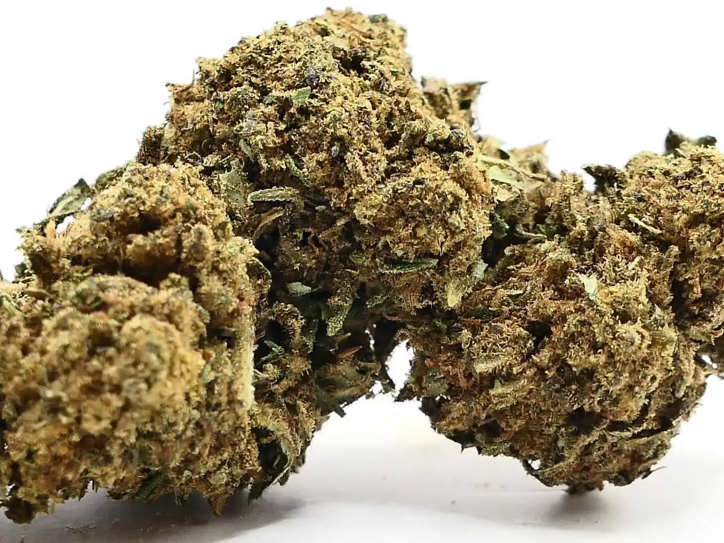 MEDIHAZE FLEUR DE CBD
