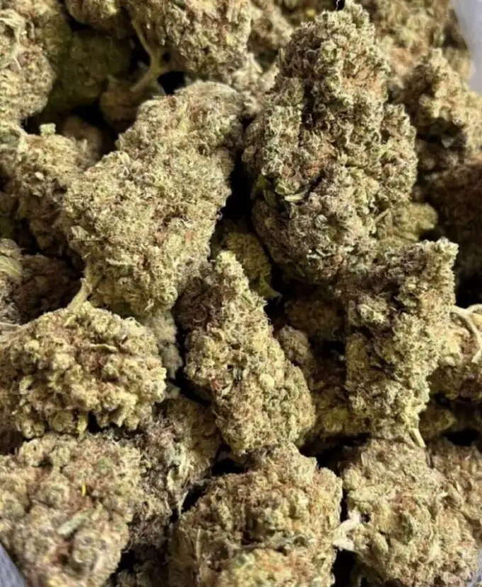 Chemdog hydroponic CBD flowers