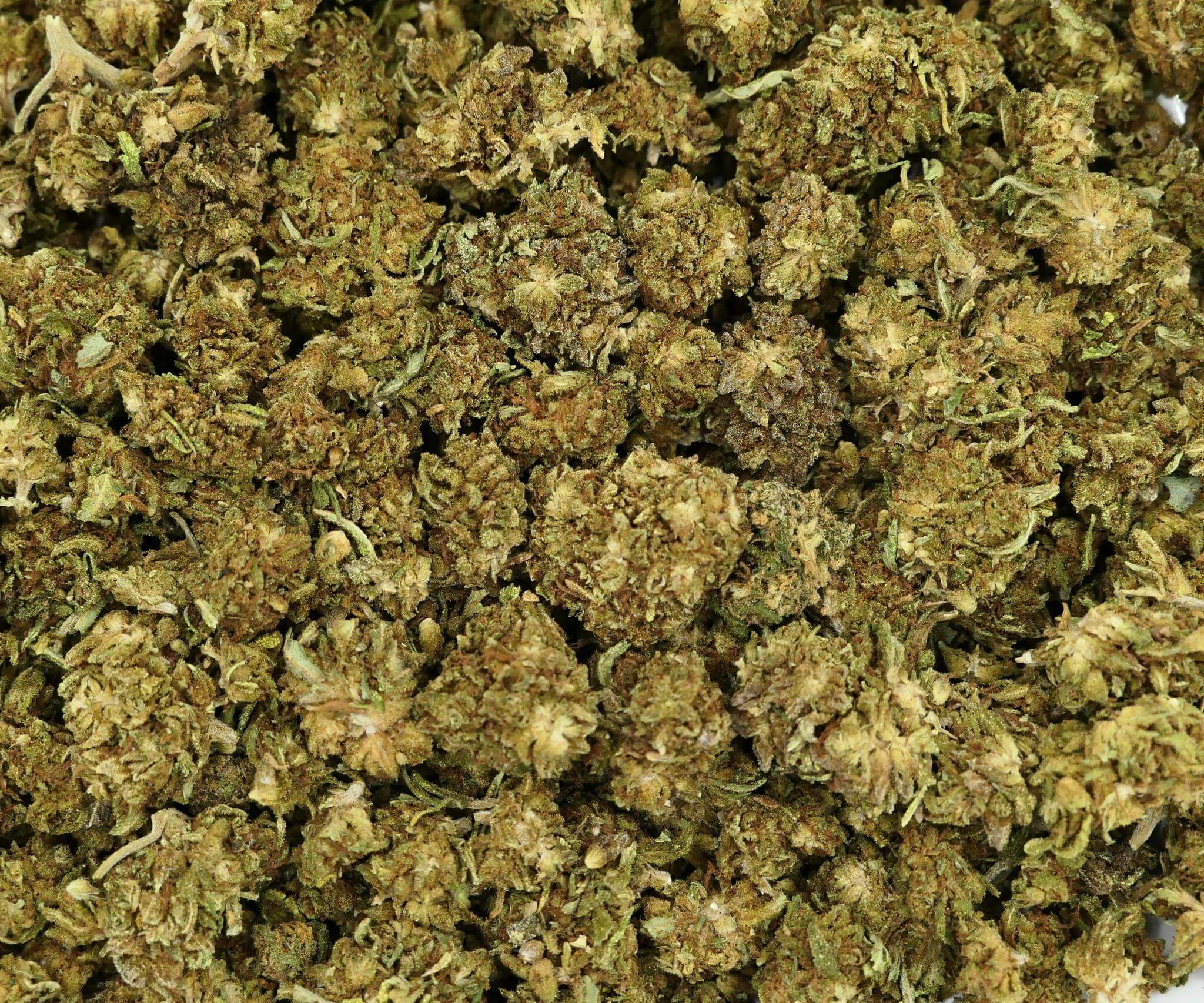 OG KUSH FLEUR DE CBD