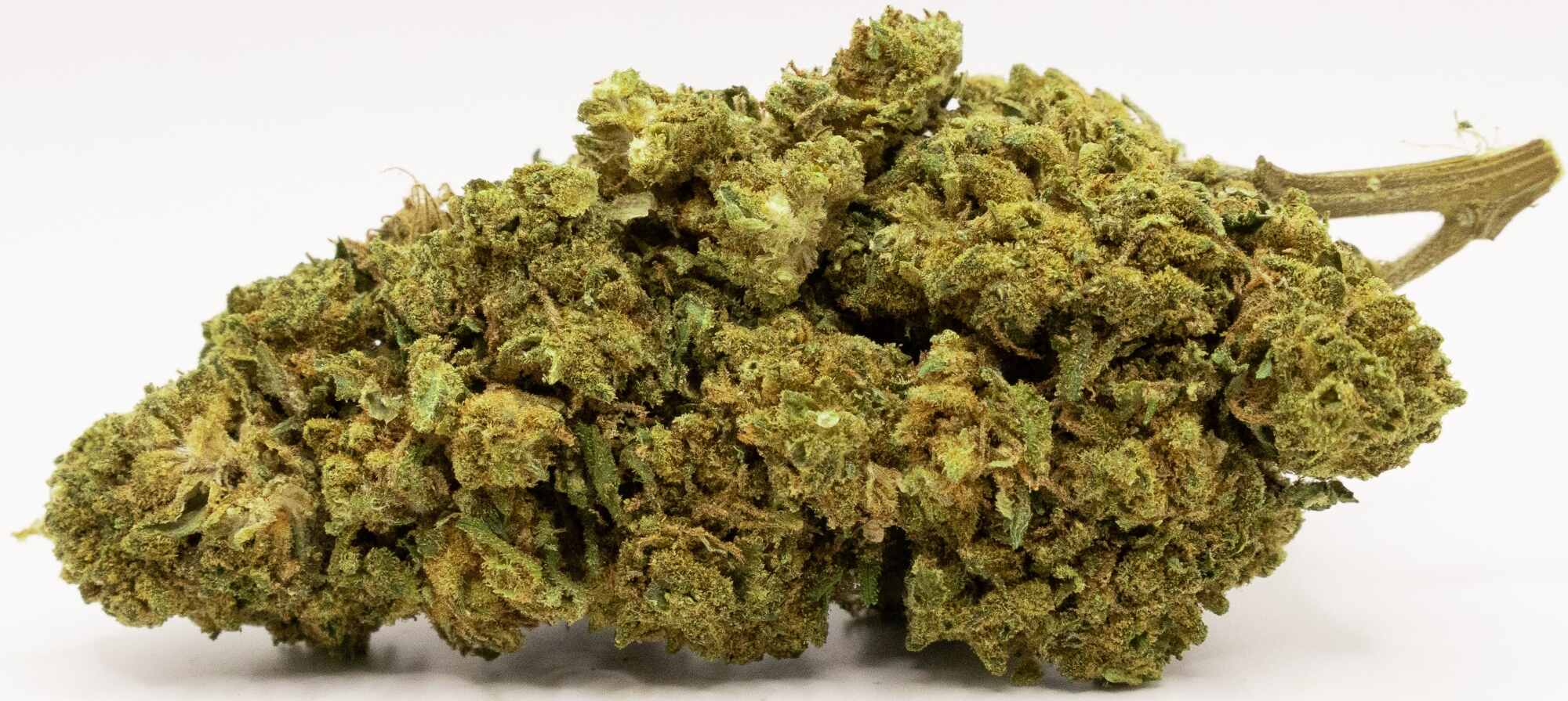 OG Kush Bud CBD