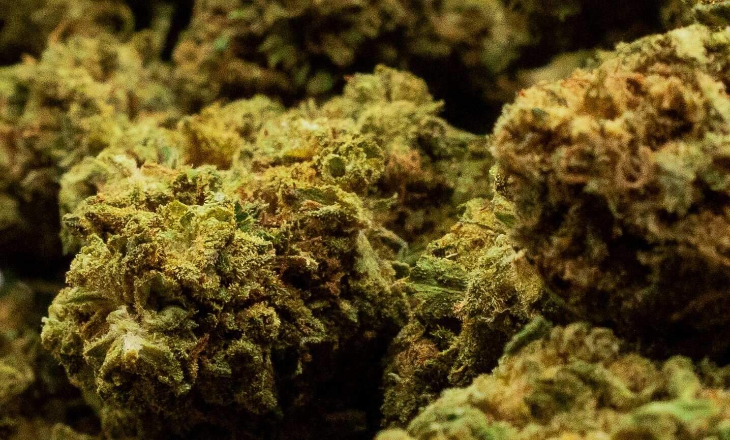 OG Kush CBD