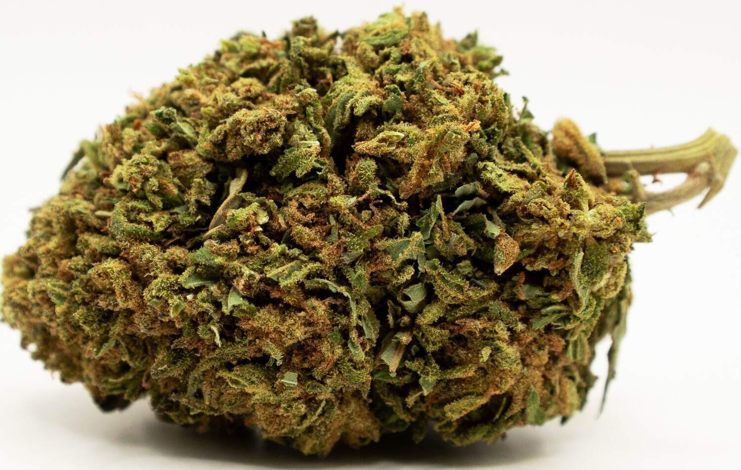bud big buddha cheese