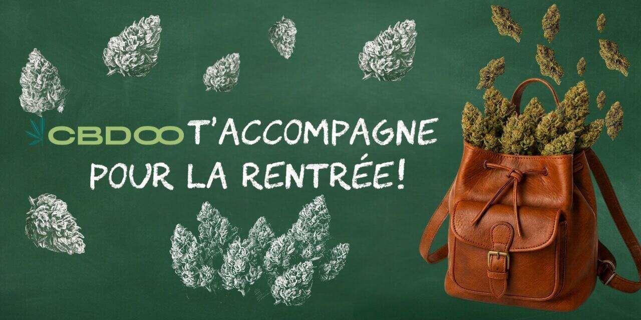 Cadeaux rentrée