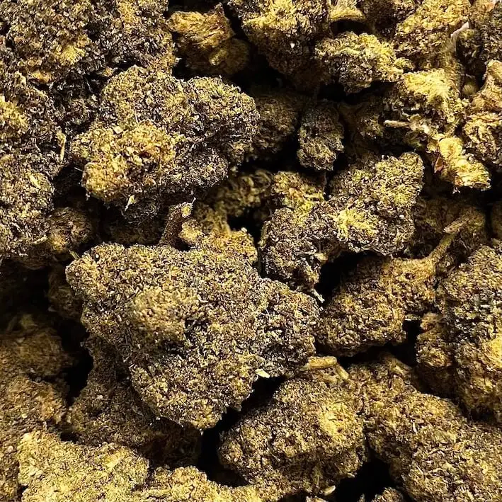 Orion f1 fleur dérivé cbd