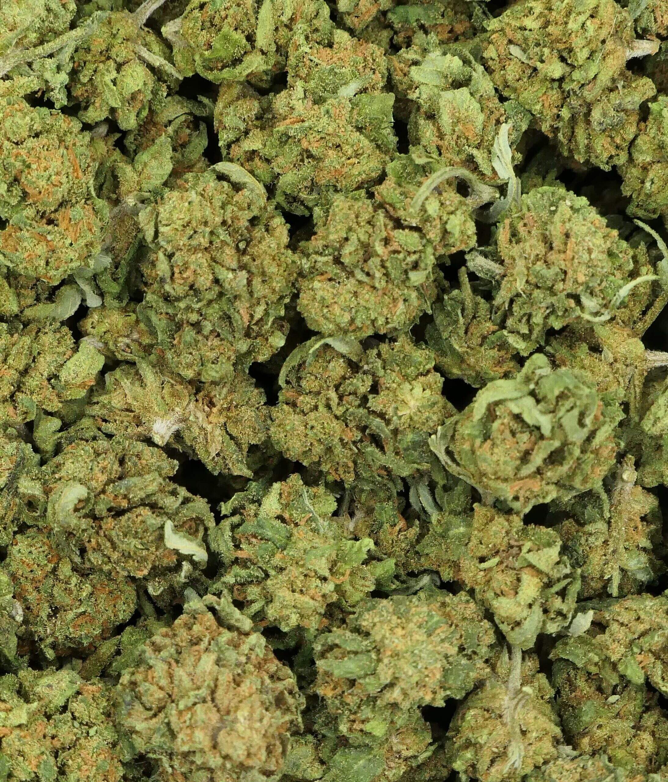 SMALL BUD BERRIES FLEUR DE CBD