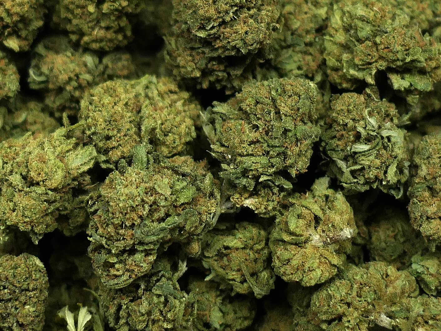 PINEAPPLE PINEAPPLE FLEUR DE CBD