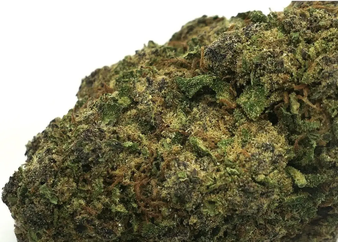 Purple star fleur muscimol