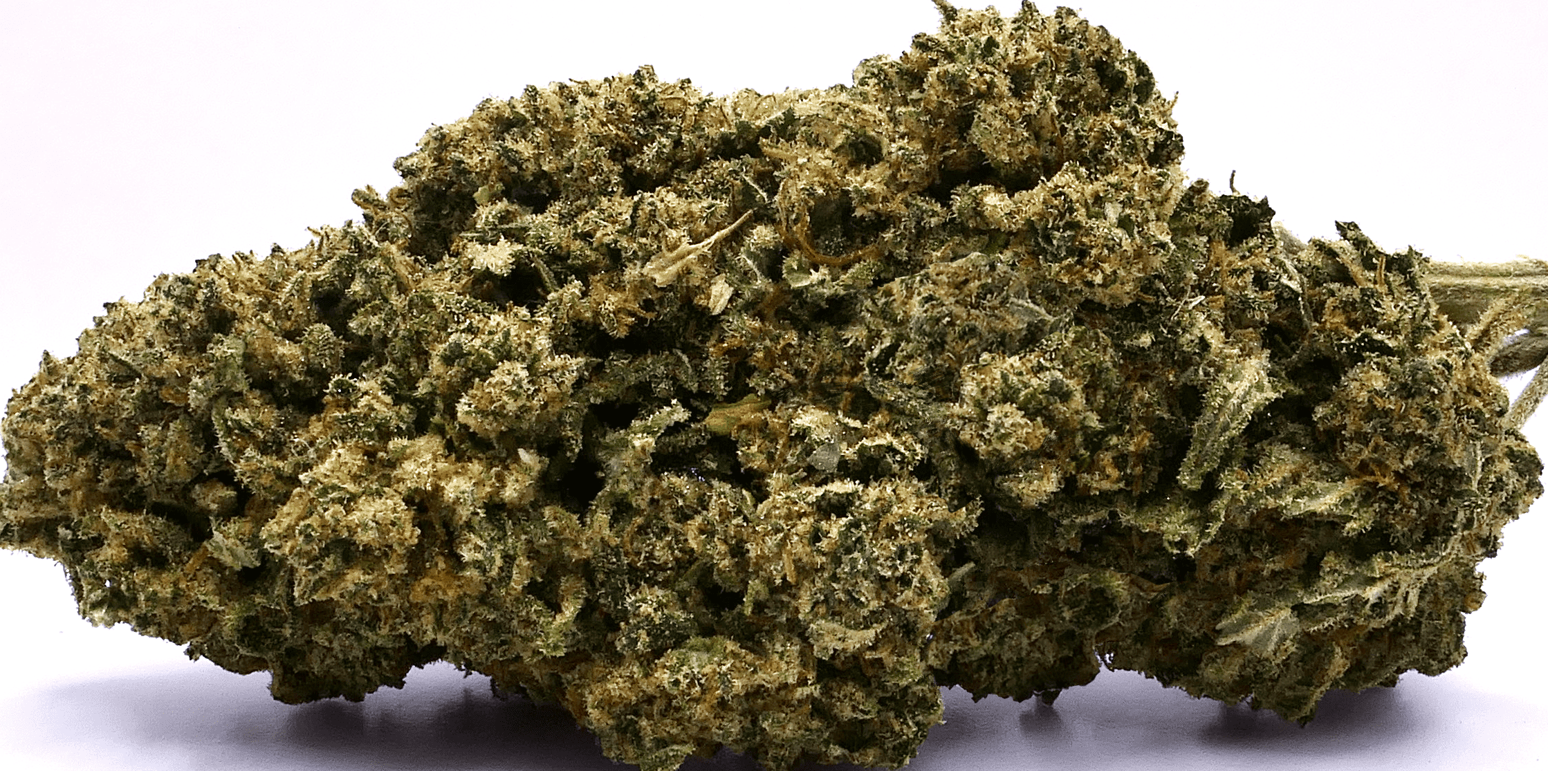 GOLDEN KUSHFLEUR DE CBD
