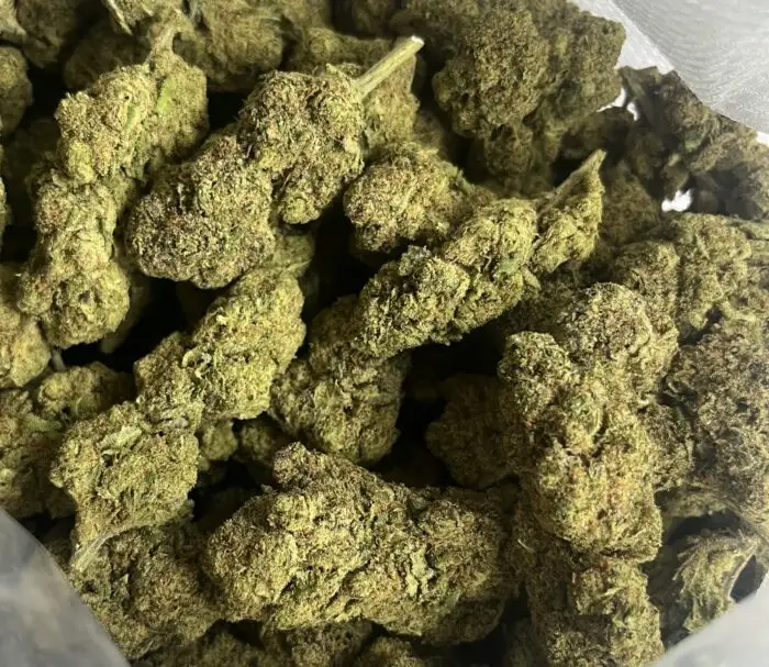 Cali Kush fleurs hydroponiques Cali Kush hydroponic flowers