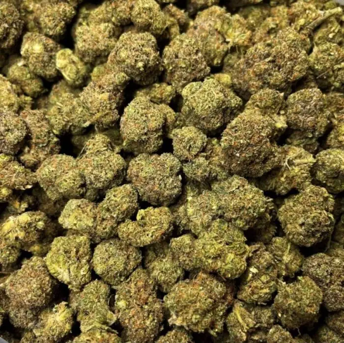 Cherry Pie fleurs de CBD hydroponique Cherry Pie fleurs hydroponique