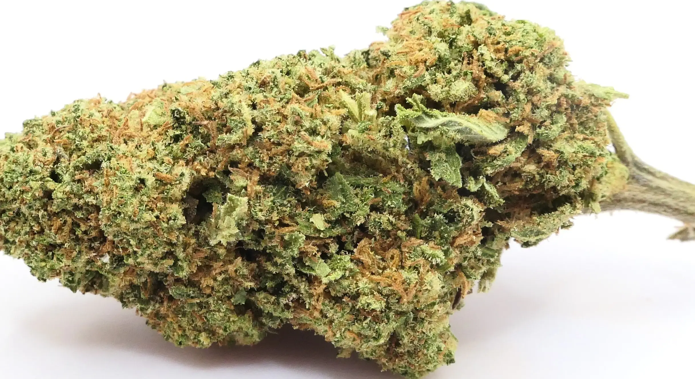 CANDY OG FLEUR DE CBD