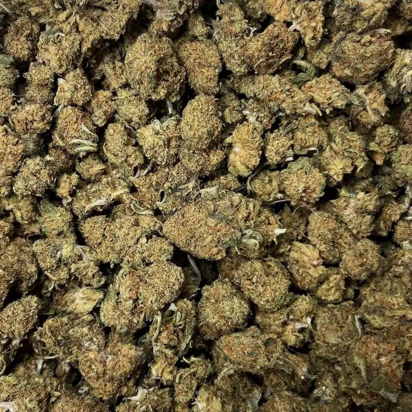 small bud ghost train 10ohhhc