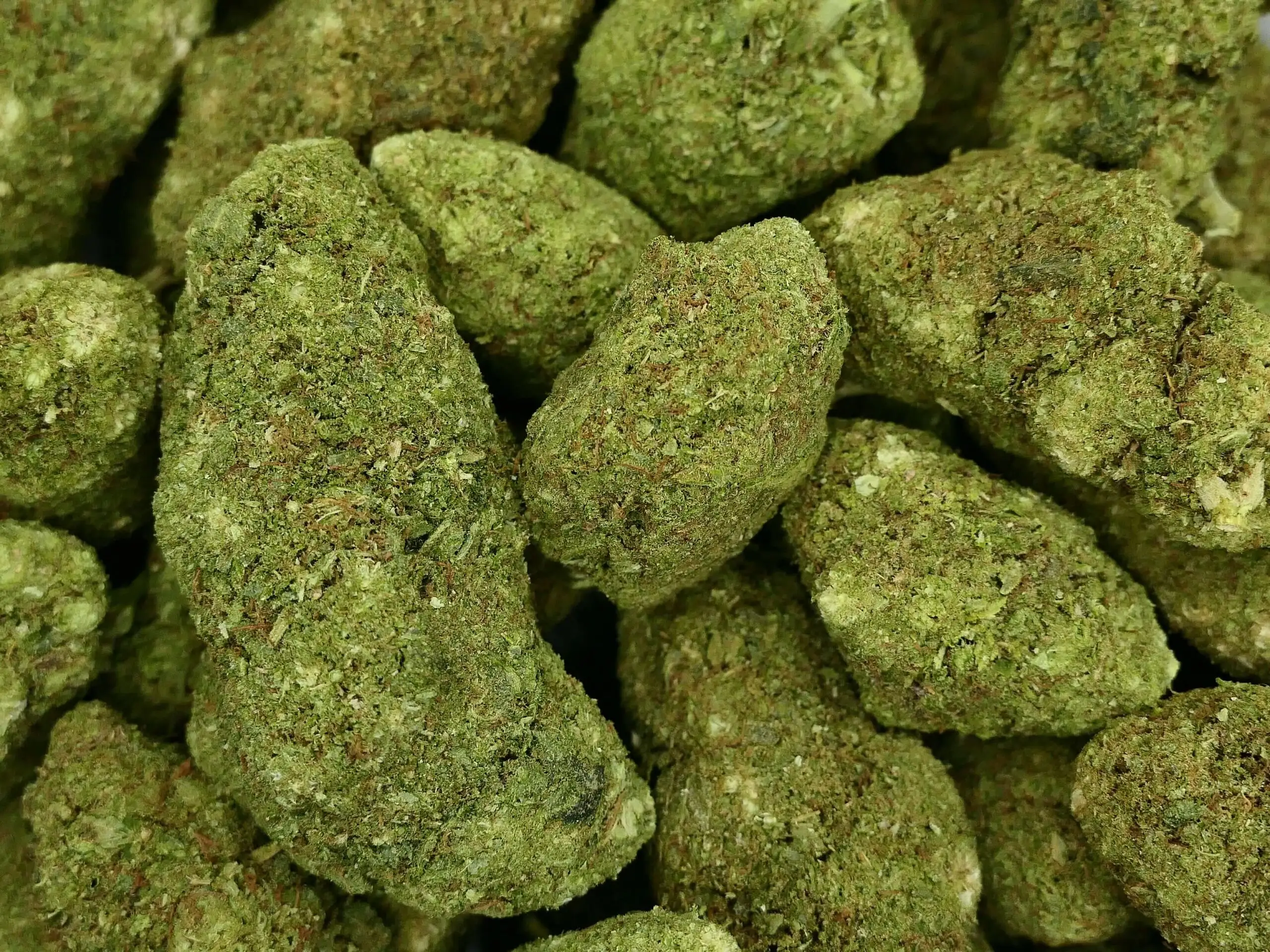 KING FROZEN KING FROZEN