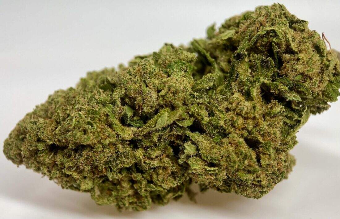 Flor de CBD Sweet ZZ