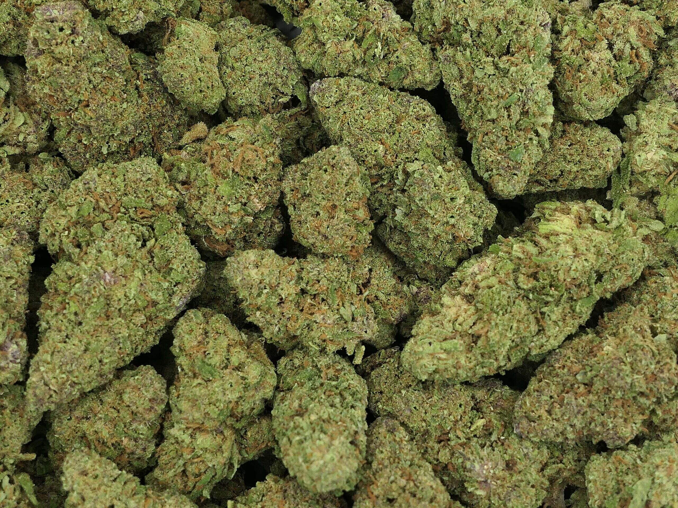 QUEEN CALI HAZE CBD