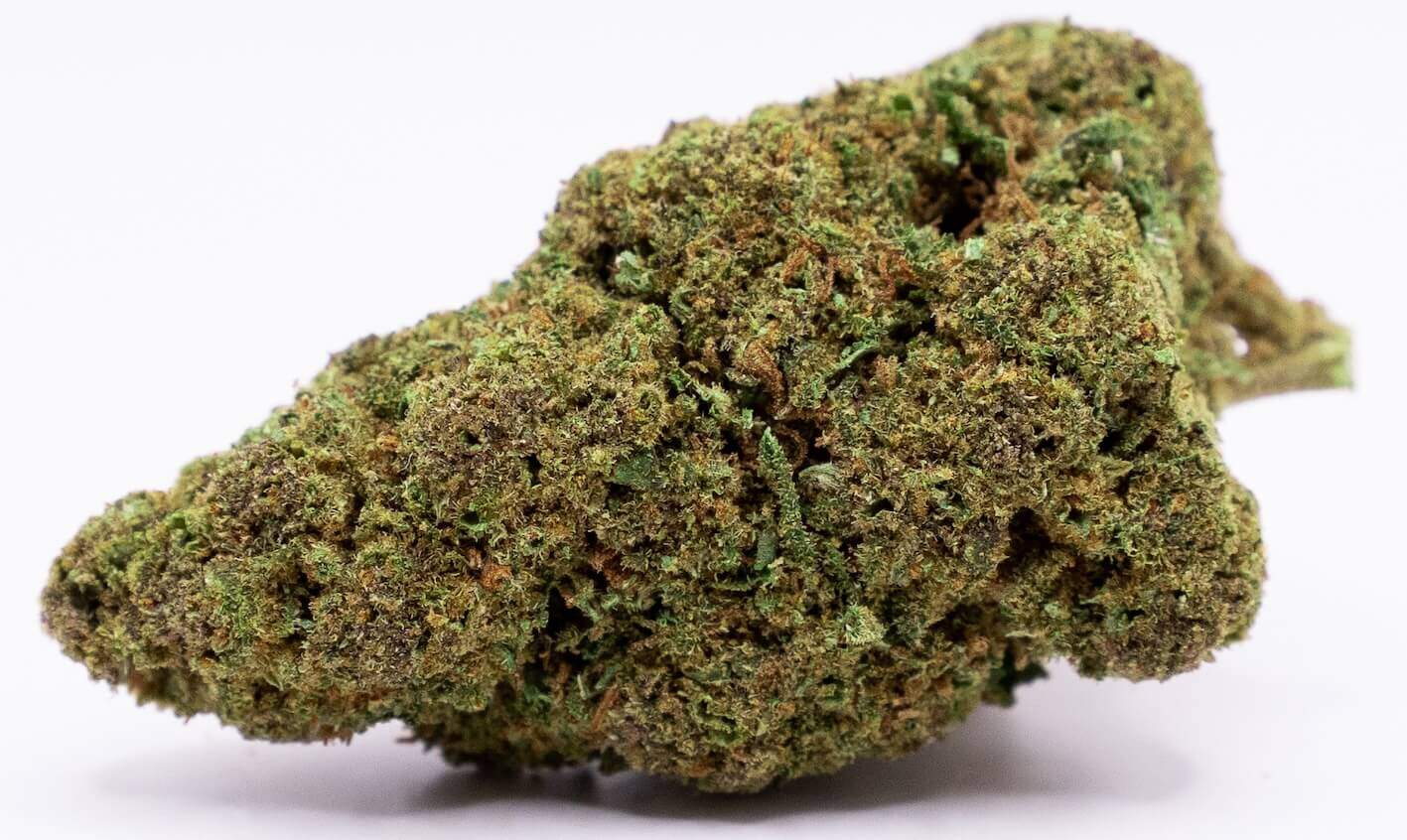 queen cali haze buds