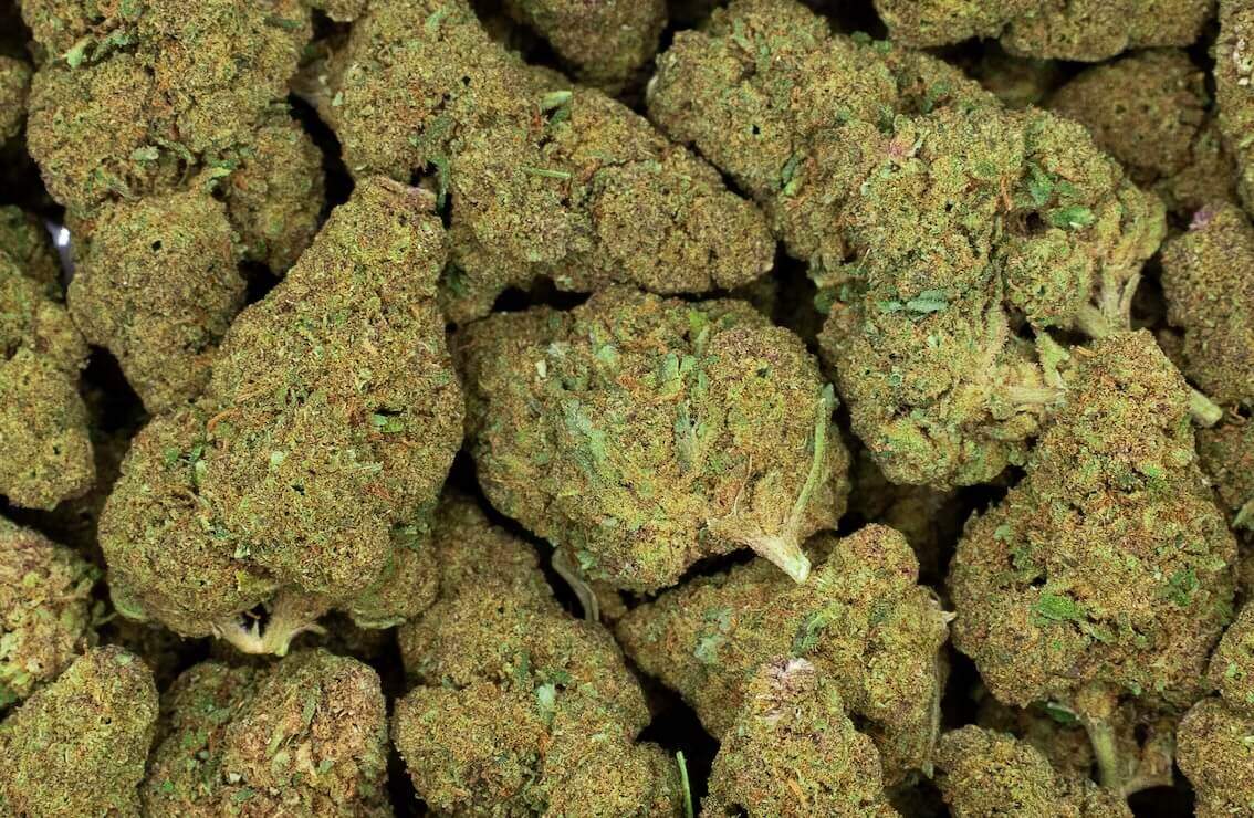 queen cali haze fleur de cbd