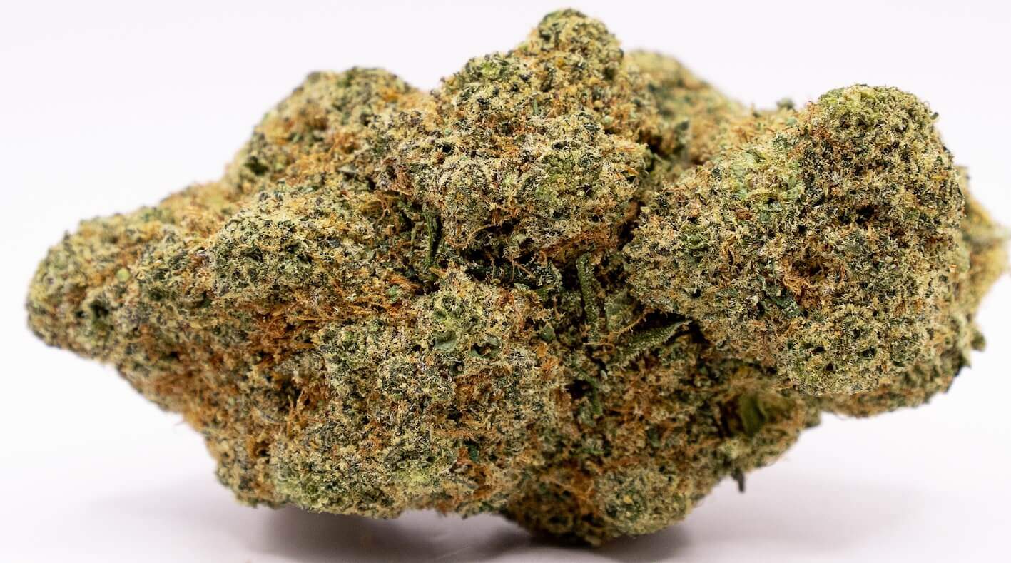 zombie kush bud