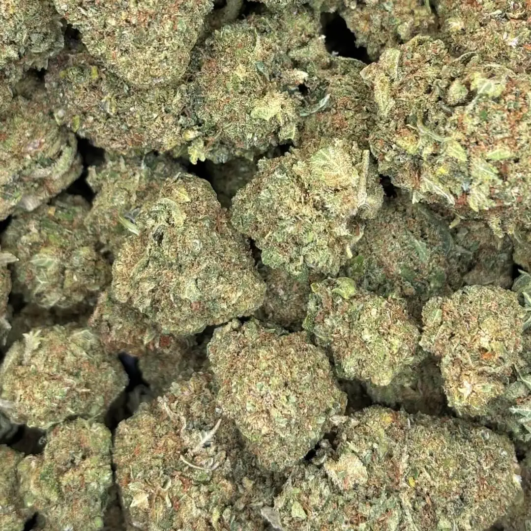 PINK GUAVA PINK GUAVA