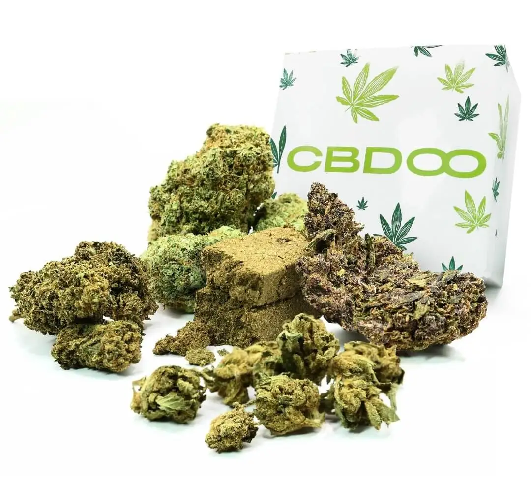 BOX DÉCOUVERTE CBD