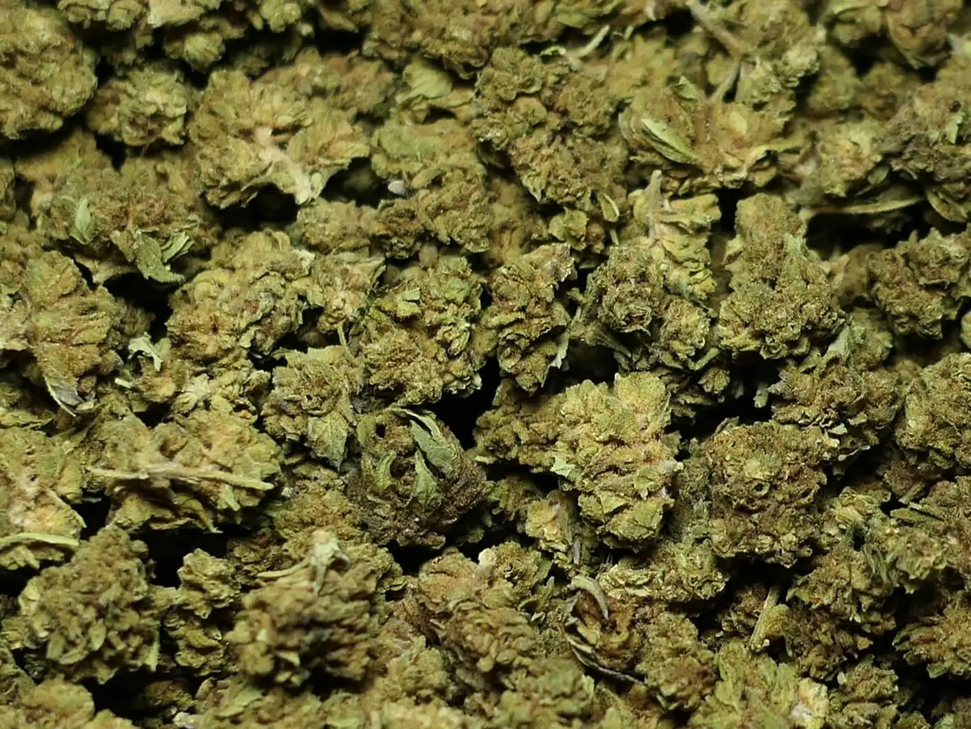 SMALL BUD AMNEZ FLEUR DE CBD