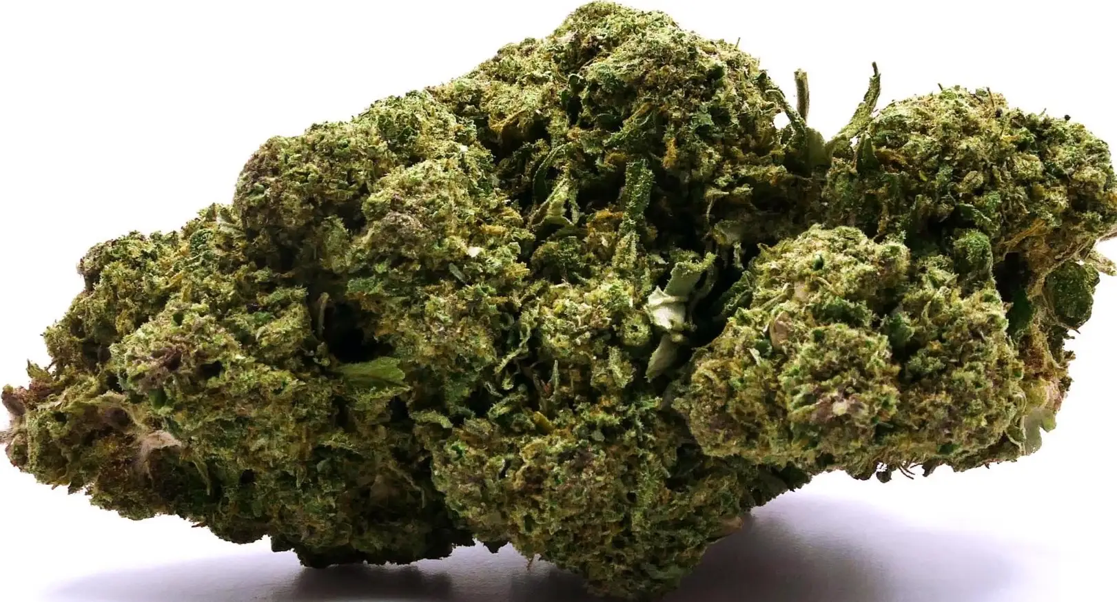 SEED WEED FLEUR DE CBD