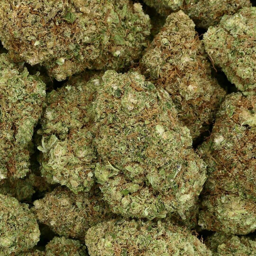 BRUCE BANNER - FLEUR - CBD HYDRO