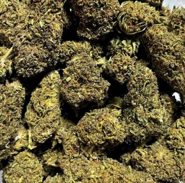 black cherry THCP