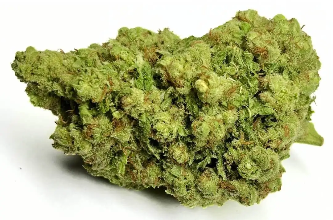 cali frozen (1) cali frozen