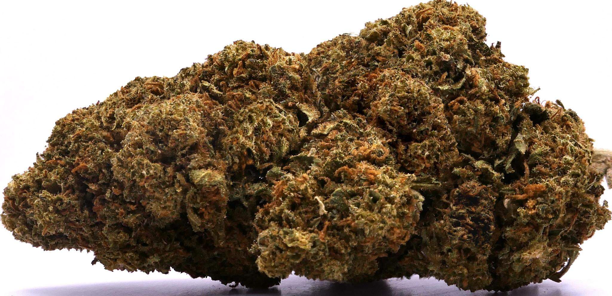 HARLEQUIN DE CBD