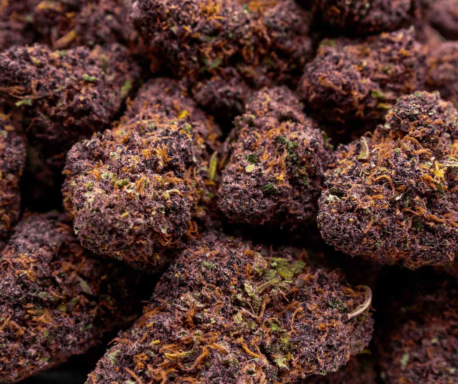 blueberry kush