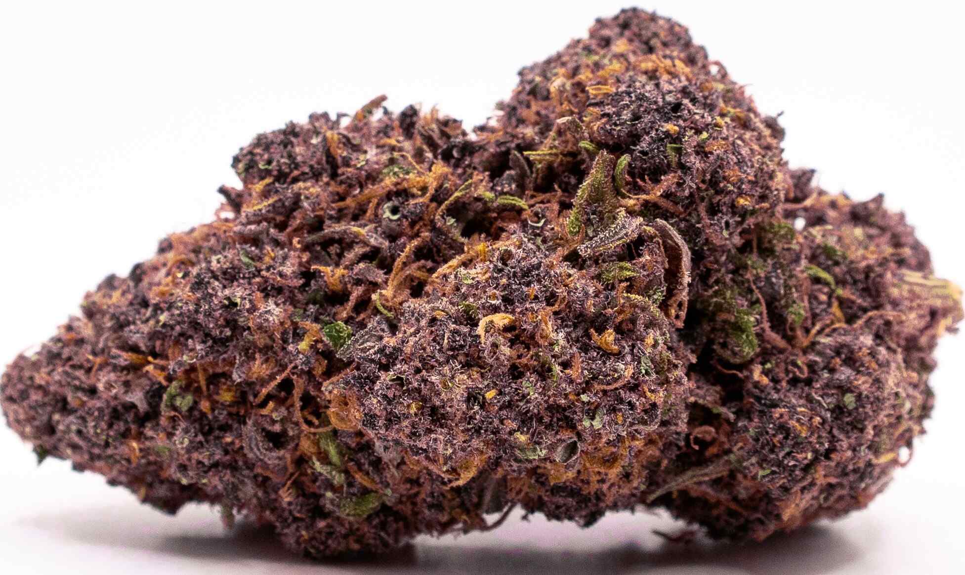 blueberry kush bud